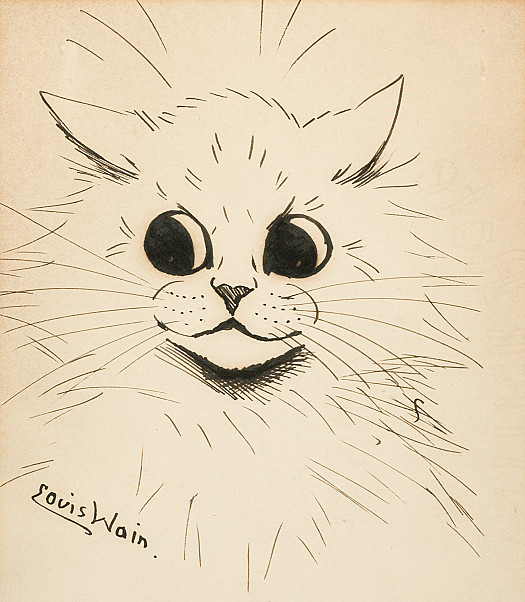 Cat Study