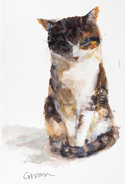 Ruth&rsquo;s Kitten
