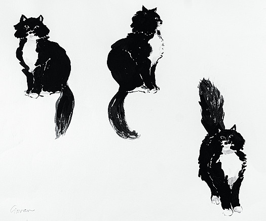 3 Cat Studies