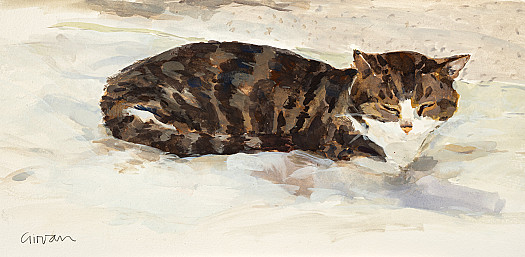 Cat on the Bed