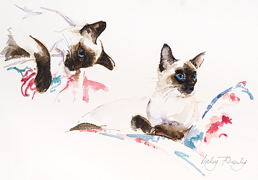 Siamese Playing