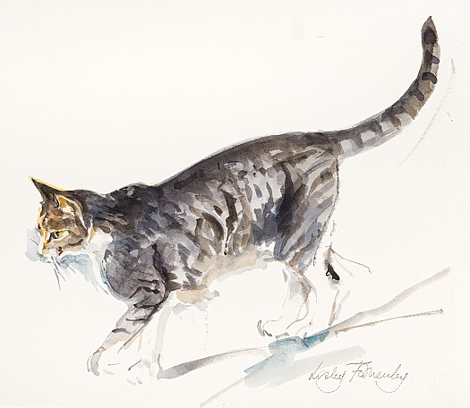 Stalking Cat