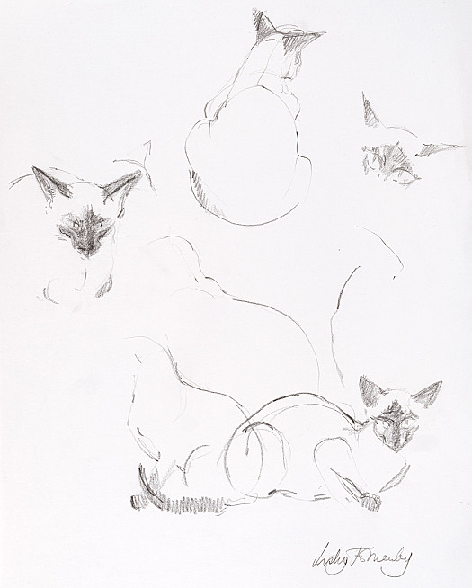 Siamese Studies