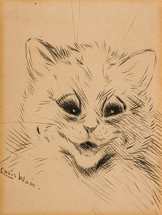 Grumpy Kitten