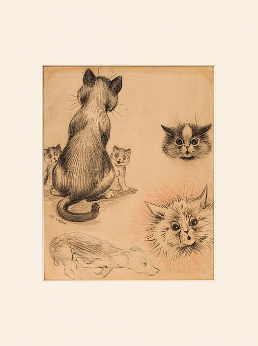 Cats, Kittens and a Running Dog
Studies from a Sketchbook