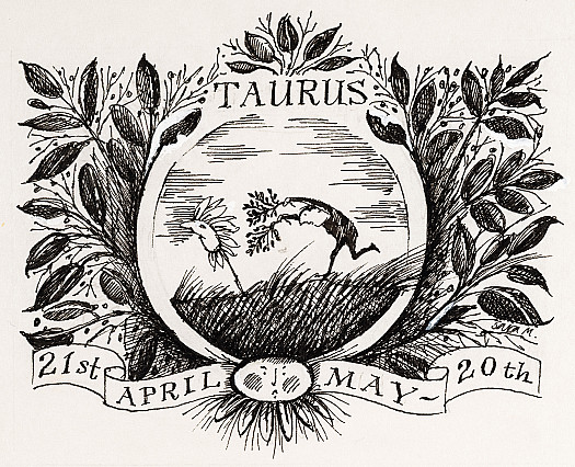 Taurus