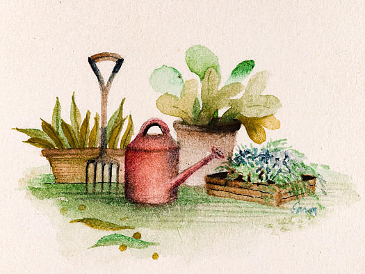 Watering Can and Gardening Fork