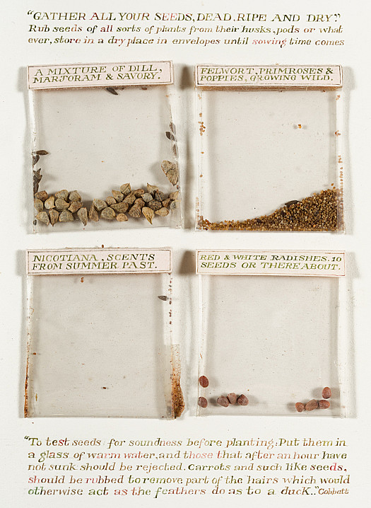 Gather All Your Seeds, Dead, Ripe and Dry