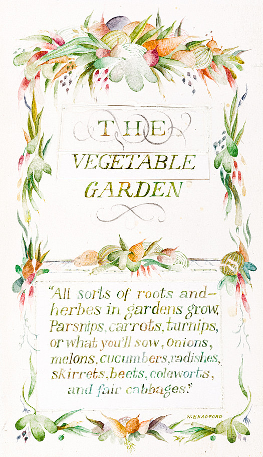The Vegetable Garden