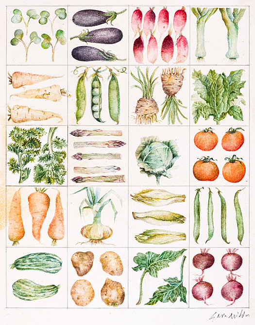 Vegetable Grid