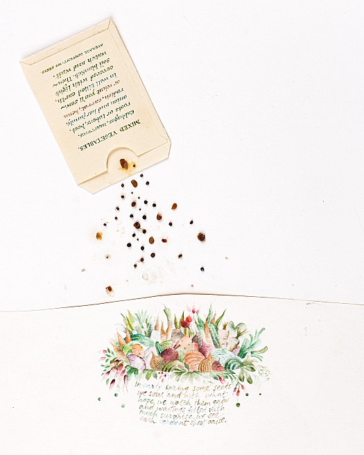 In early spring some seeds we sow, and with what hope we watch them grow ...