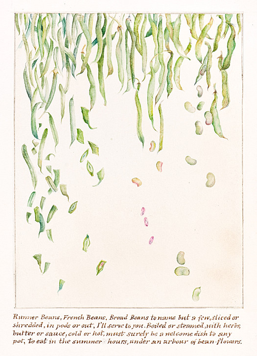 Runner Beans, French Beans, Broad Beans to name but a few, sliced or shredded, in pods or out, I'll serve to you