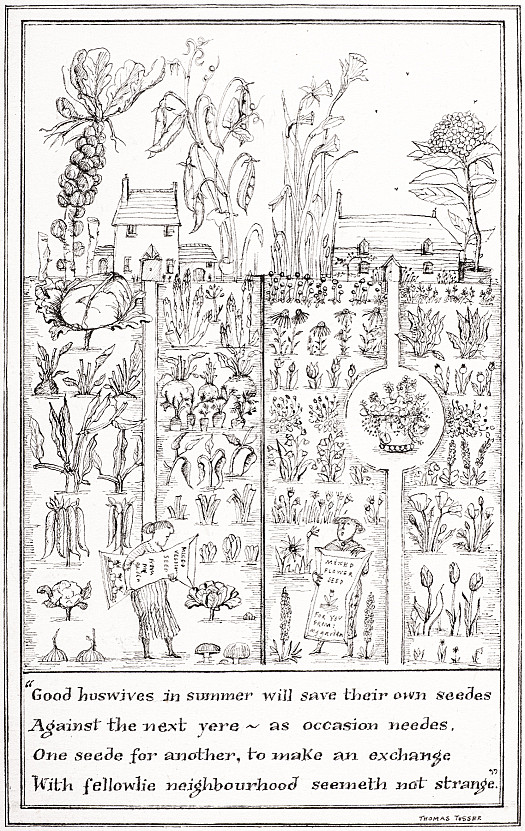 Good huswives in summer will save their own seedes