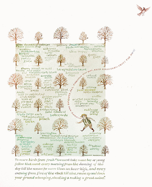 Whoops and shouts all through the day, keep birds from fruit far away