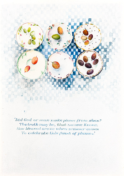 Did God or man make plums from sloes?