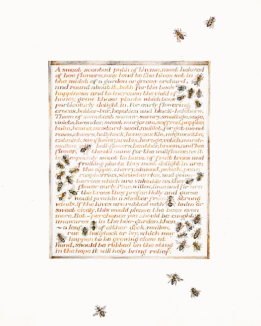 A sweet scented path of thyme, most beloved of bee flowers, may lead to the hives set in the midst of a garden or grassy orchard ...