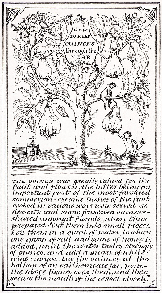 How to Keep Quinces Through the Year