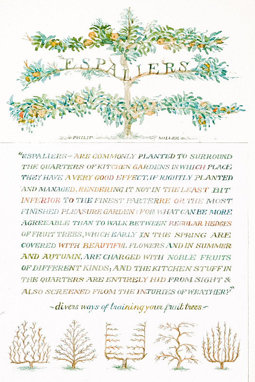 Espaliers