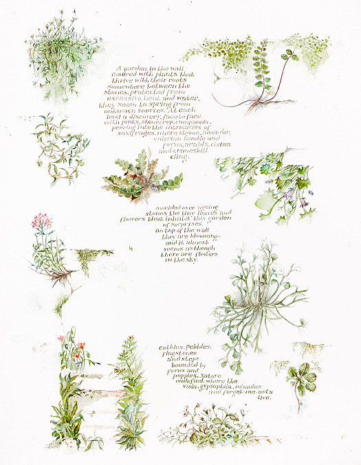 A garden in the wall covered with plants that thrive with their roots somewhere between the stones ...