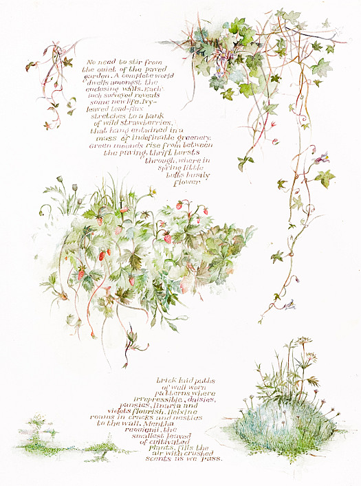 No need to stir from the quiet of the paved garden. A complete world dwells amongst the enclosing walls