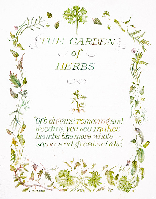 The Garden of Herbs