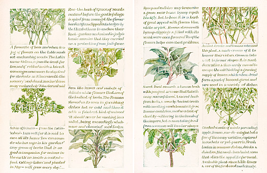 Rue, Lemon Balm, Chervil and Sage
Hyssop, Bay Leaf, Basil and Mint