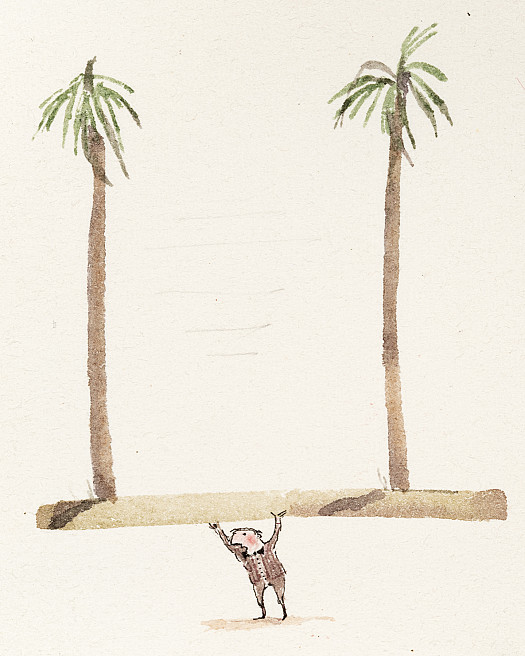 The Room with a View