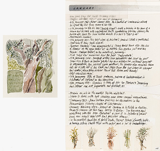 Gnarled Tree &ndash; January