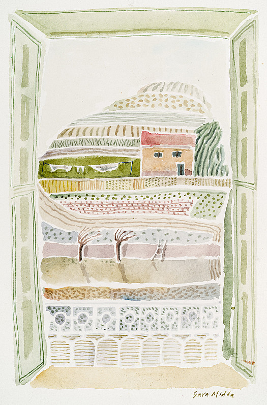 Gambusia fish sun themselves &ndash; March