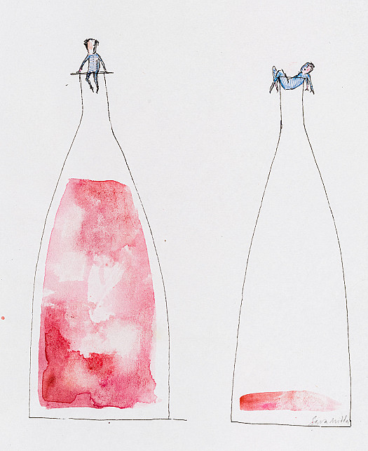 Two bottles of C&ocirc;te de Provence