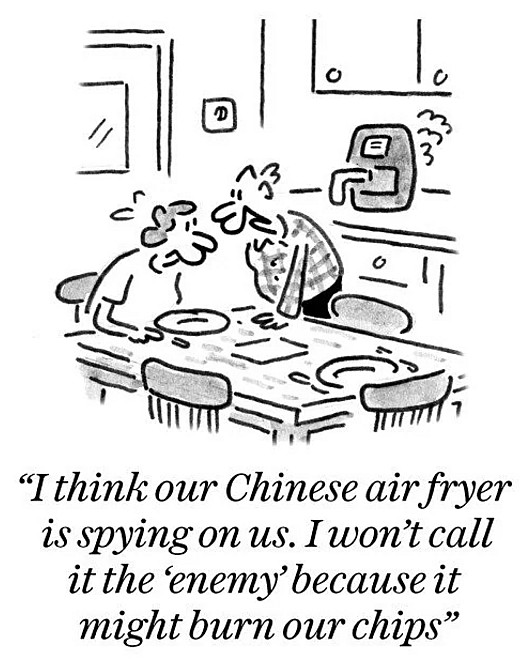 I think our Chinese air fryer is spying on us. I won't call it the 'enemy' because it might burn our chips
