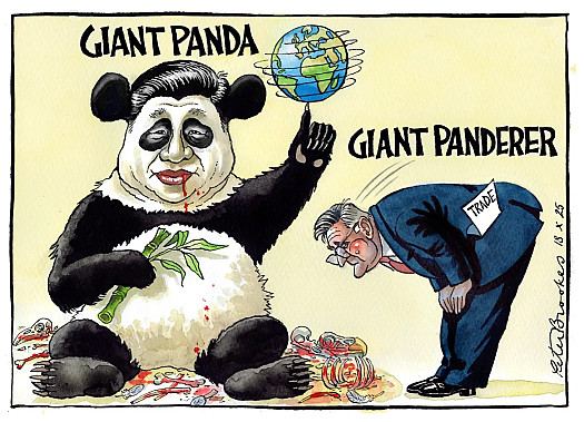 Giant Panda
Giant Panderer