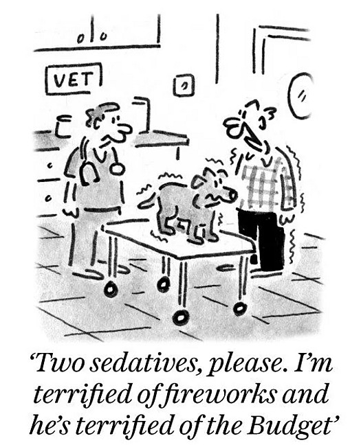 Two sedatives, please. I'm terrified of fireworks and he's terrified of the Budget