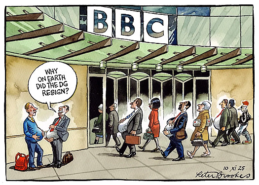 Why on earth did the DG resign?