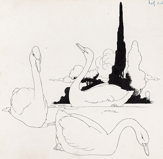 He saw beneath him his own form, no longer that of a plump, ugly, grey bird &ndash; it was that of a swan!