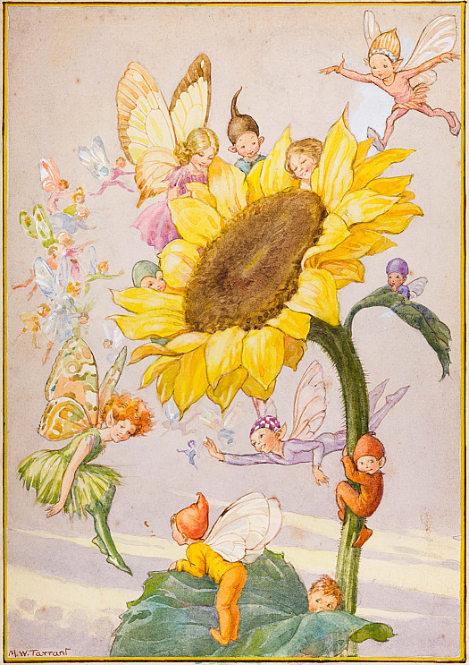Sunflower Fairies