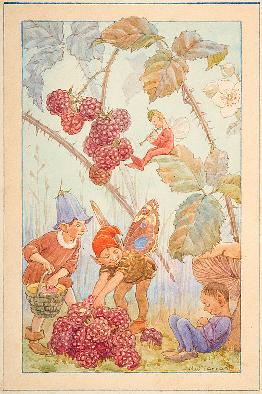 Blackberry Fairies
