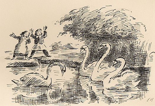 What he beheld was a snow white swan