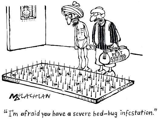 I'm afraid you have a severe bed-bug infestation