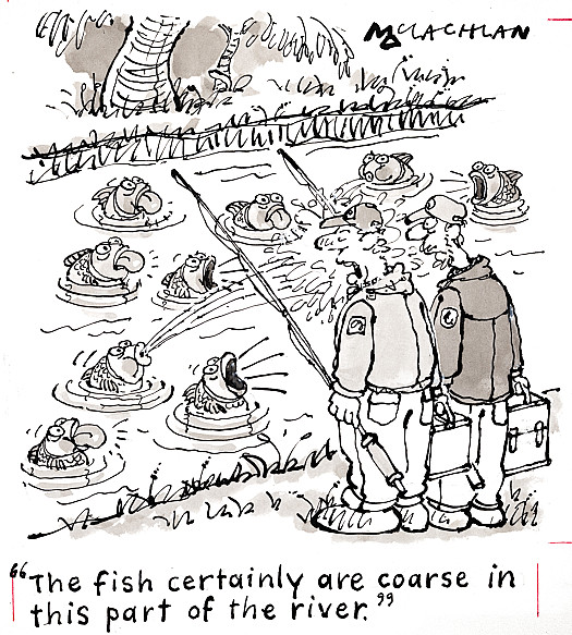 The fish certainly are coarse in this part of the river