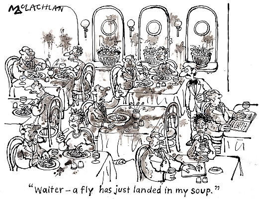 Waiter &ndash; a fly has just landed in my soup