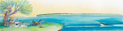 Why didn't you invite me, Ratty?