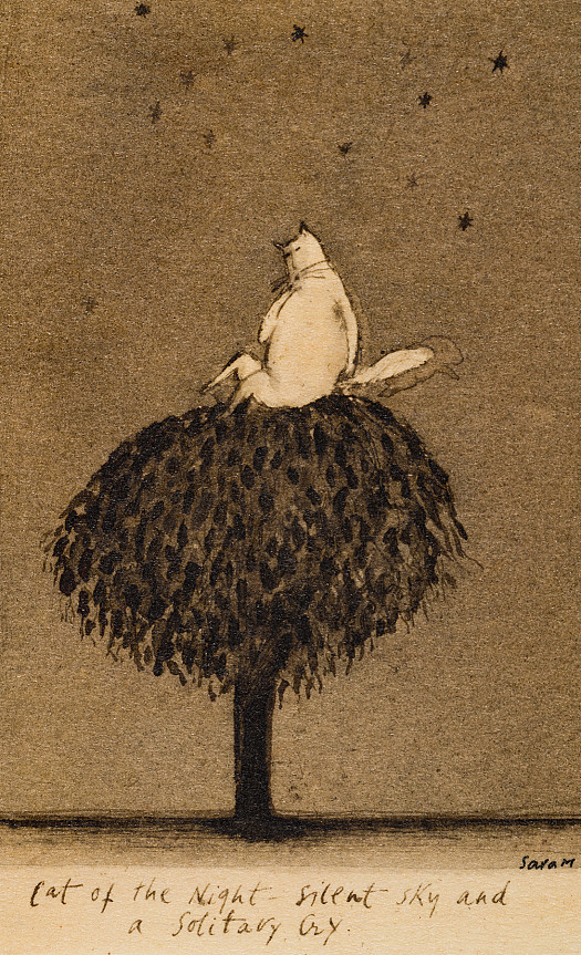 Cat of the Night &ndash; Silent Sky and a Solitary Cry