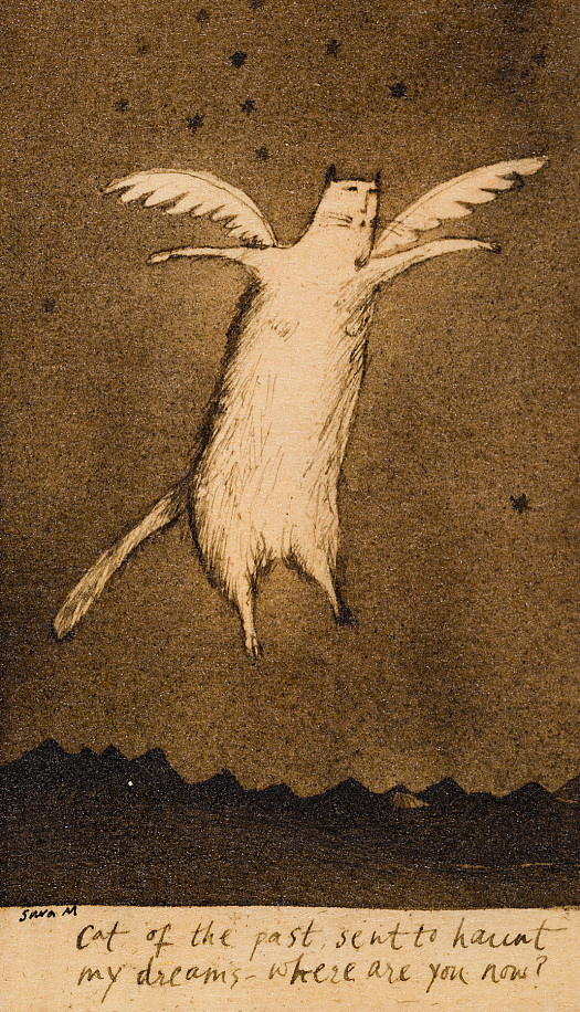 Cat of the past, sent to haunt my dreams &ndash; where are you now?