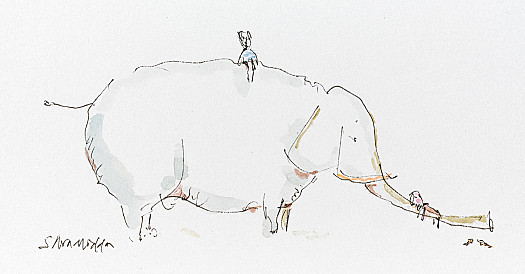 Resting on the trunk