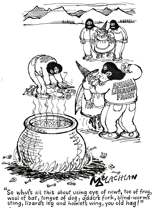 So what's all this about using eye of net, toe of frog, wool of bat, tongue of dog, adder's fork, blind-worm's sting, lizard's leg and howlet's wing, you old hag!