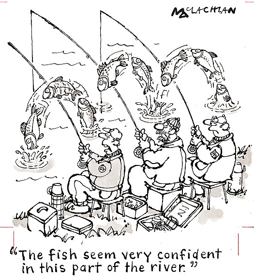 The fish seem very confident in this part of the river