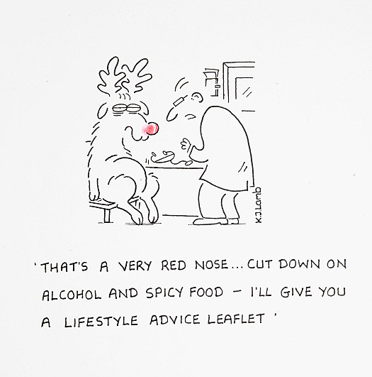 That's a Very Red Nose... Cut Down On Alcohol and Spicy Food - I'll Give You a Lifestyle Advice Leaflet
