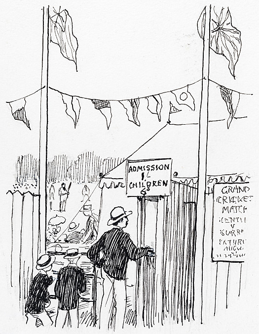 The Field Was Gay with Flags