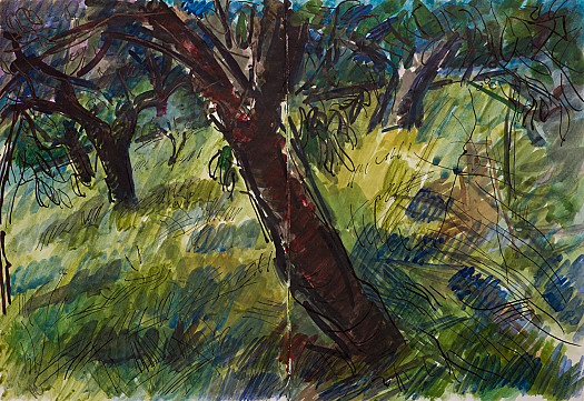 Olive Trees, Bargemon
